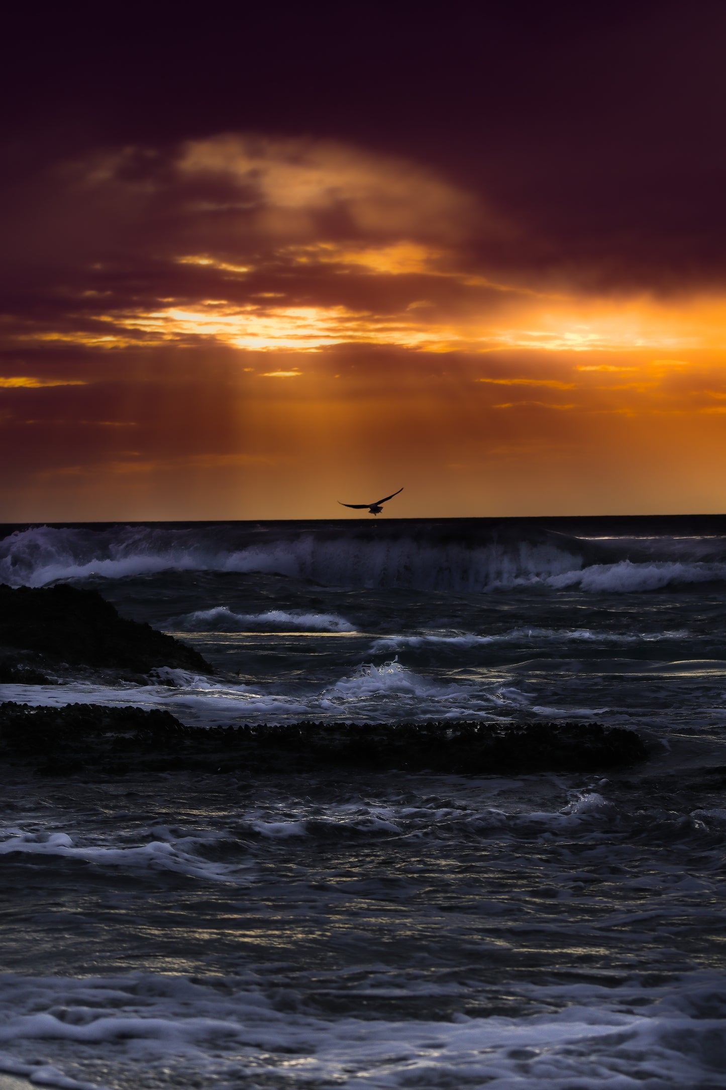 Rising Phoenix