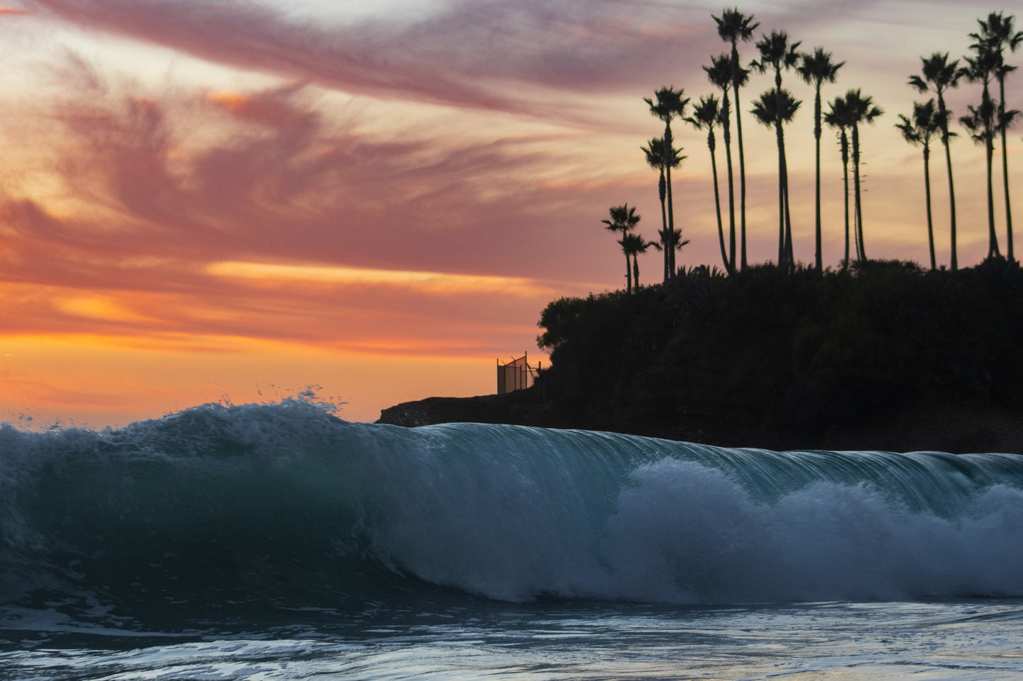 Shaw's Swell at Sunset