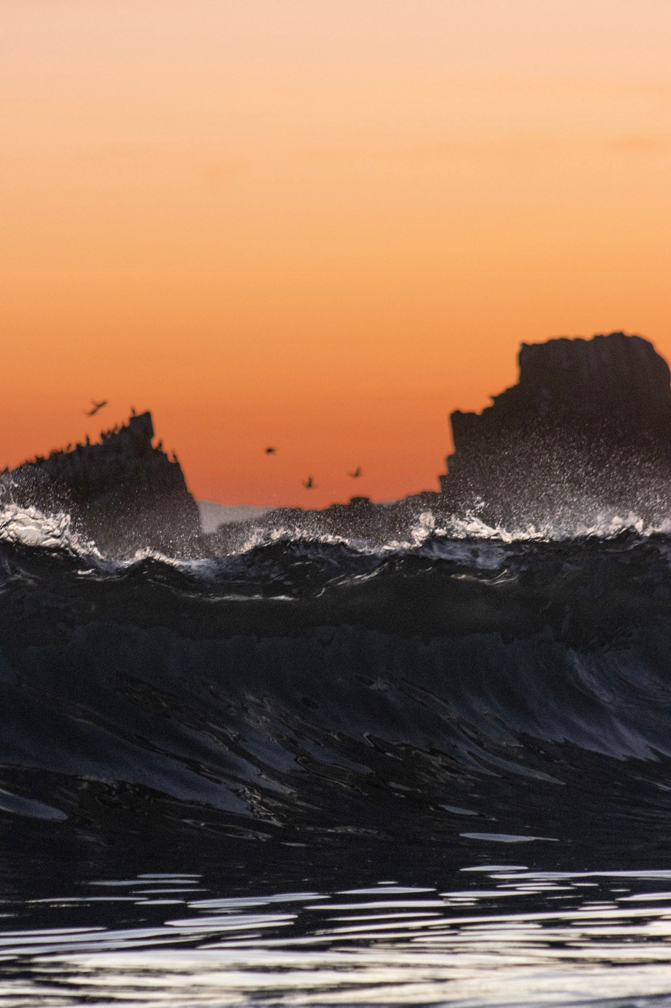 Waving at Seal Rock